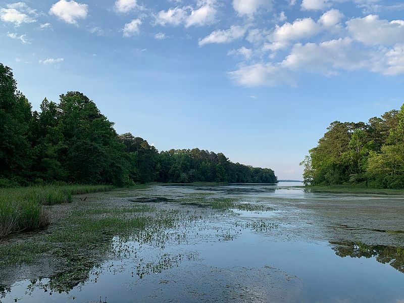 Alabama - Lake Guntersville