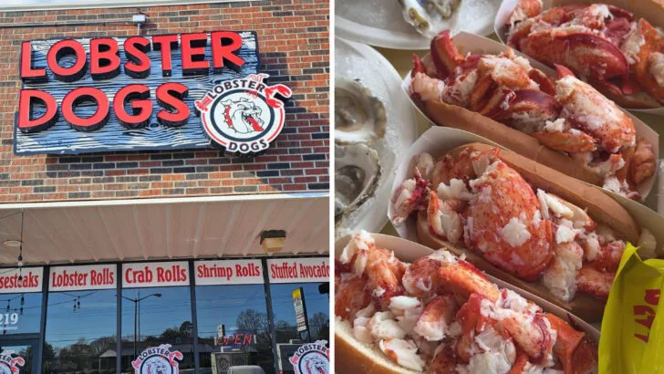 The best lobster roll in every coastal state