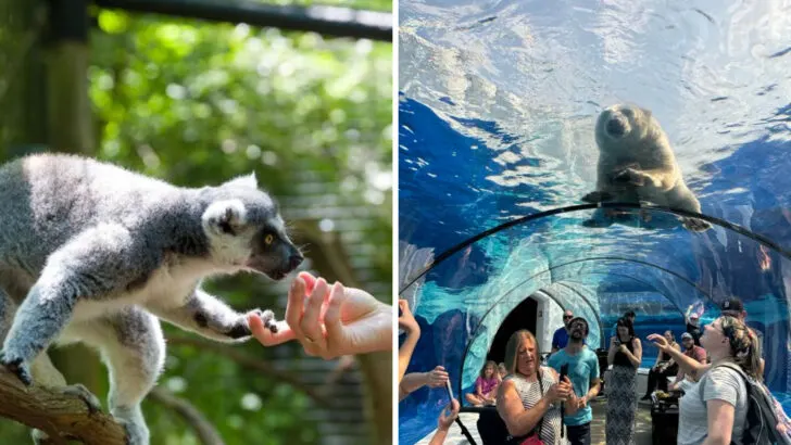 The best zoo, wildlife park, or animal sanctuary in every state