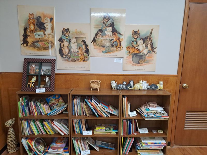 The non-lending cat library with thousands of volumes