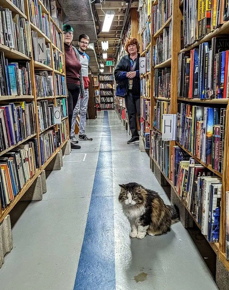 Labyrinth of aisles and hidden nooks