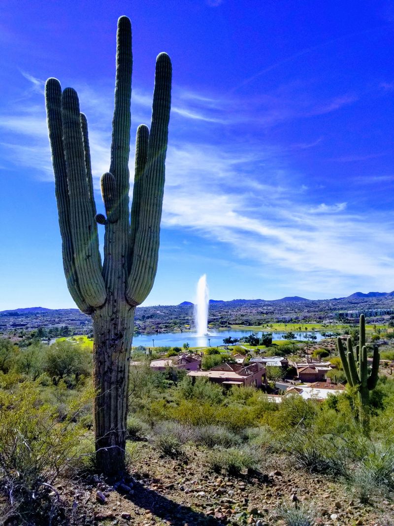 Best walking loop and scenic viewpoints