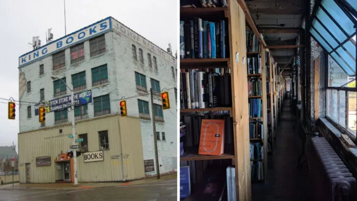 The massive Michigan bookstore where every aisle leads to something new