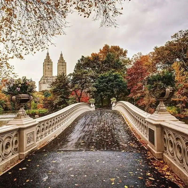 Central Park Bow Bridge — New York City, New York