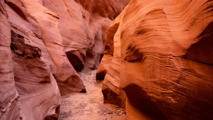 The most popular spots in America for a marriage proposal