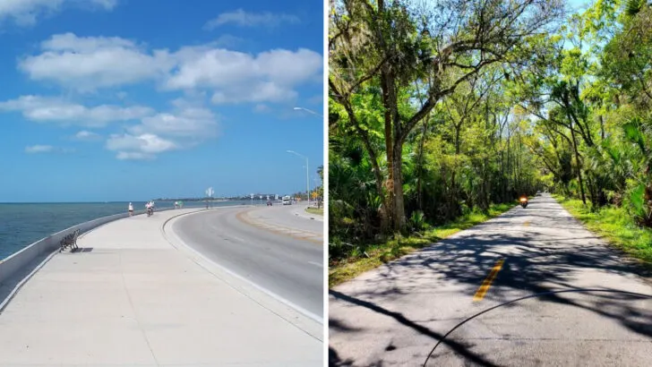 The most scenic drives in Florida beyond the Overseas Highway