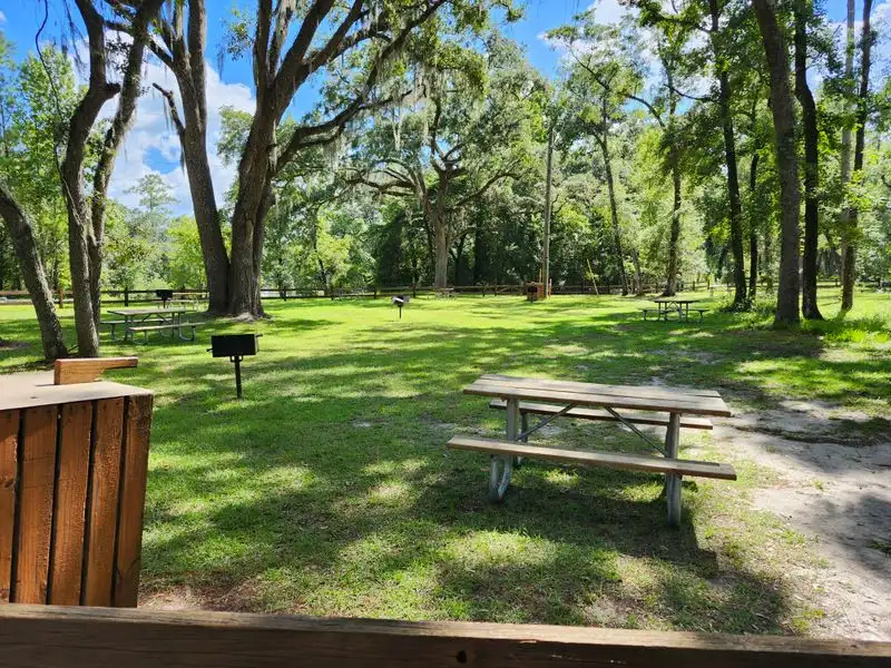 Picnicking under the oaks