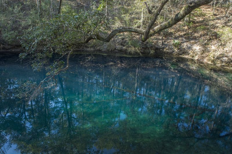 Big Dismal Sinkhole