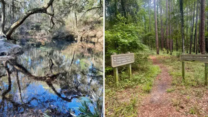 This 3.6-mile Florida hike winds past sinkholes, caves, and unexpected scenery
