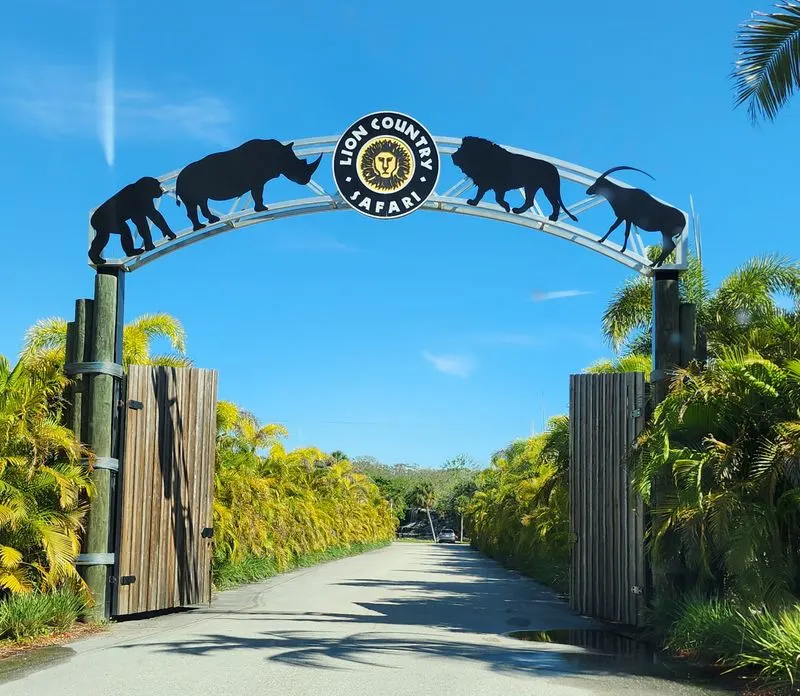 Plan your perfect arrival and timing