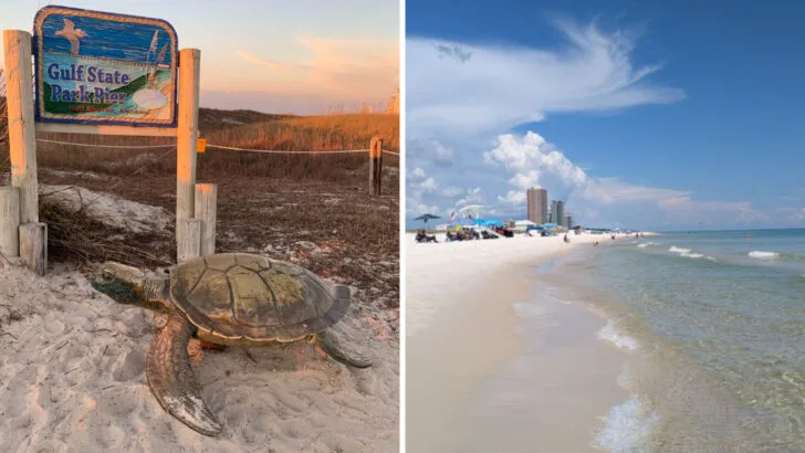 This 5,000-acre Alabama state park has beaches, wildlife, and a lodge most visitors miss