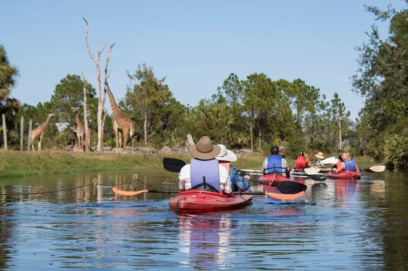 Kayaking Through Expedition Africa