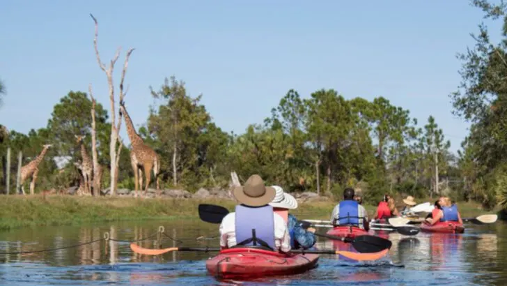 This 75-acre Florida zoo lets you kayak through giraffe and zebra habitats