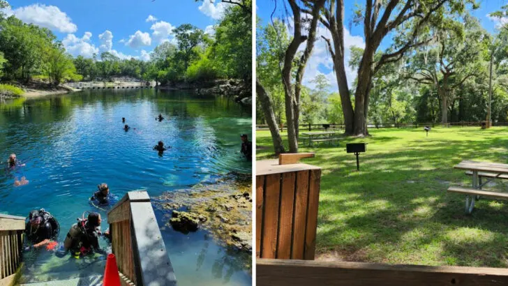 This 78-acre state park in Florida flies under the radar for most visitors