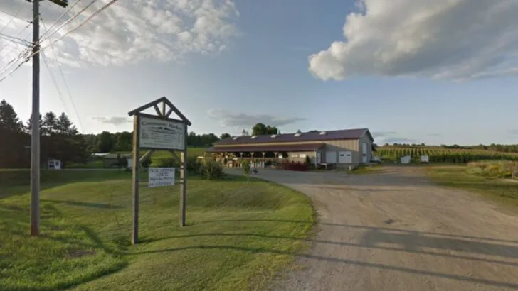 This Authentic Amish Market in Maine Offers a Shopping Experience You Don’t See Every Day