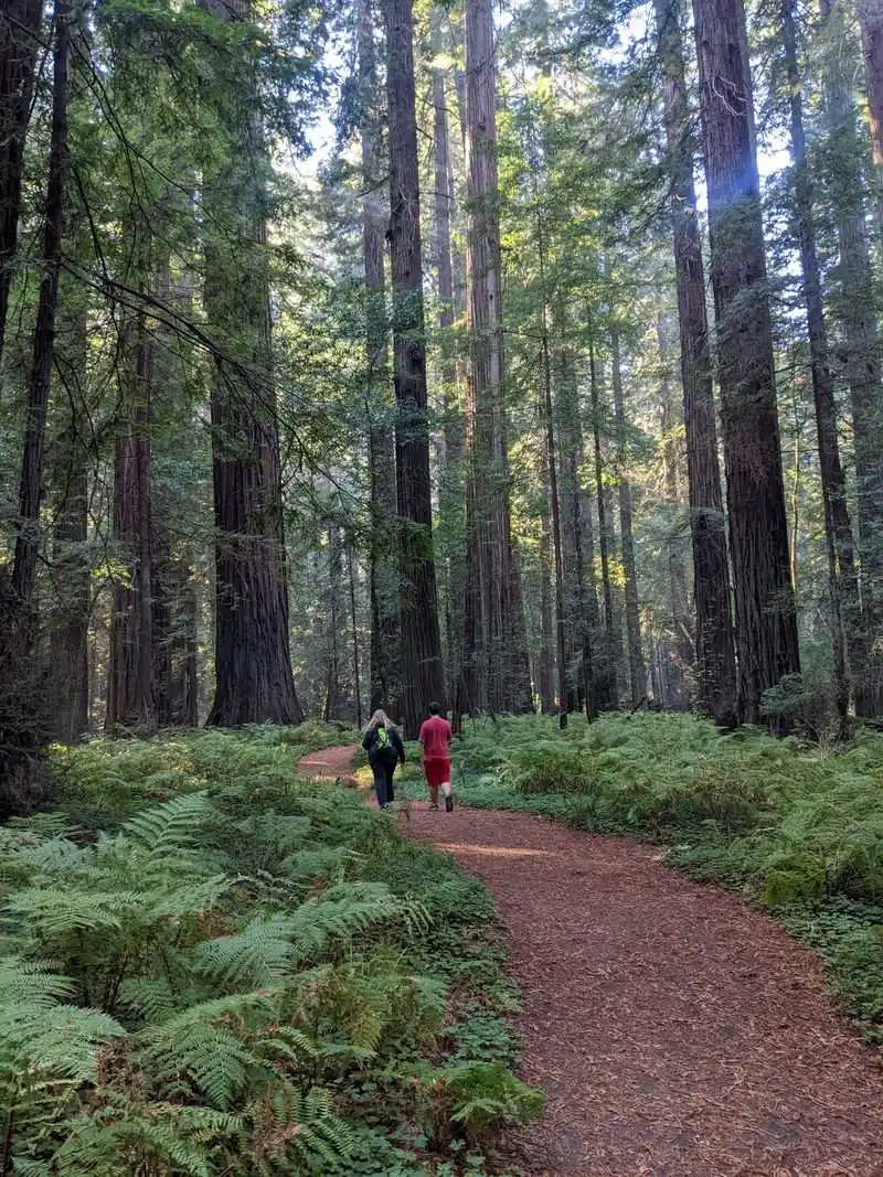 Quick facts and why this trail feels otherworldly