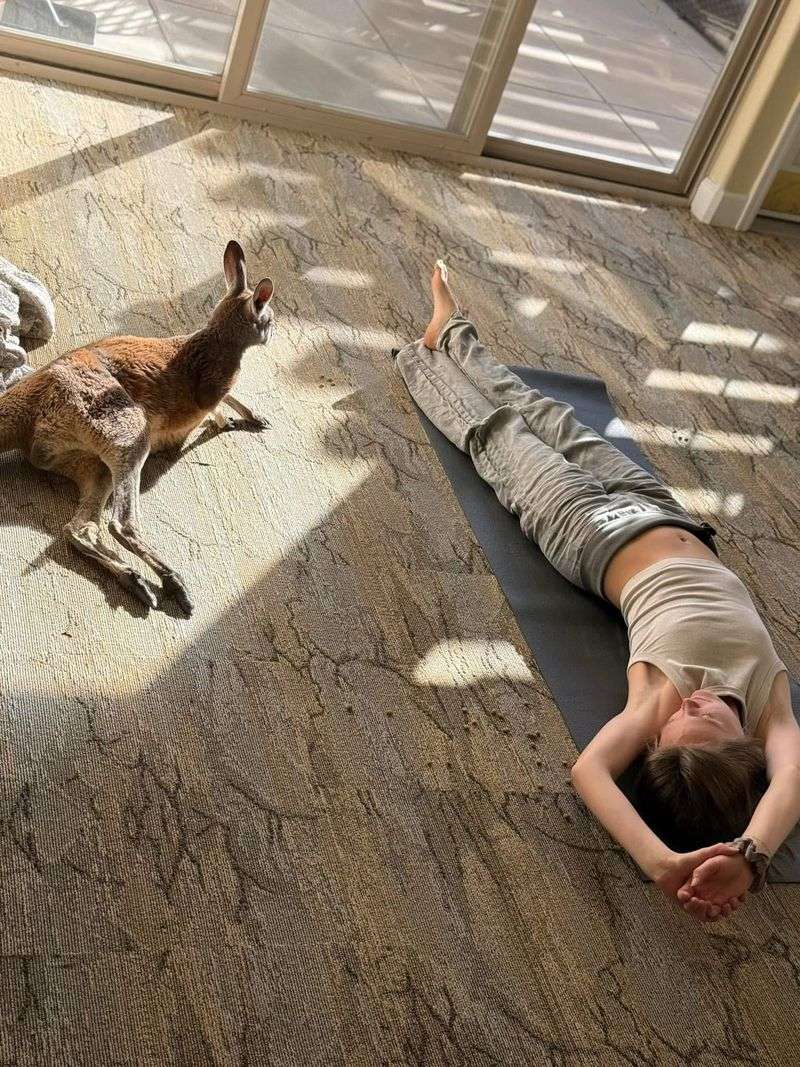 Kangaroo Yoga