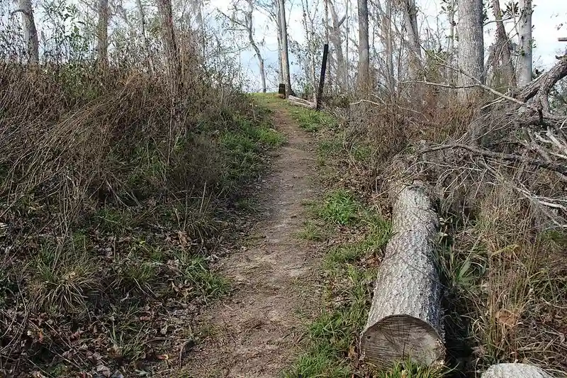 Scenic Hiking Trails
