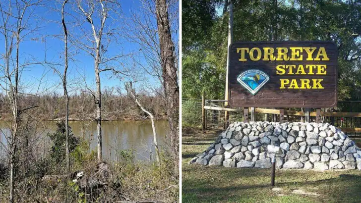 This Florida State Park Quietly Ranks Among the State’s Most Beautiful