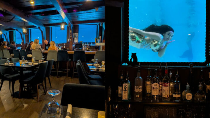 This Florida resort has mermaids that swim up to your restaurant window while you eat