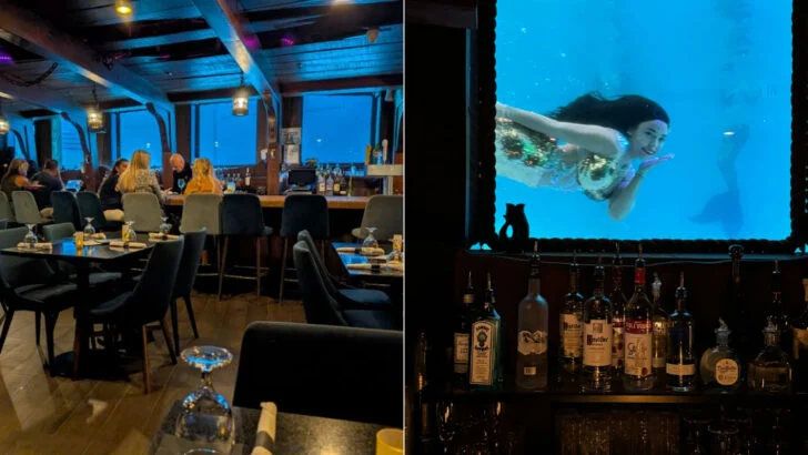 This Florida resort has mermaids that swim up to your restaurant window while you eat