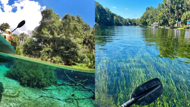 This Florida river is so clear you can see 60 feet to the bottom from your kayak