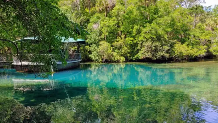 This Florida state park offers unusually close wildlife encounters