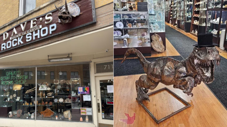 This Illinois Mineral Shop Has an Unexpected Underground Dinosaur Collection