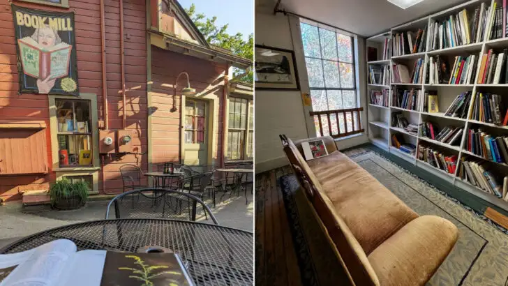 This Massachusetts bookstore sits in an old mill with the motto &lsquo;Books you don&rsquo;t need in a place you can&rsquo;t find&rsquo;