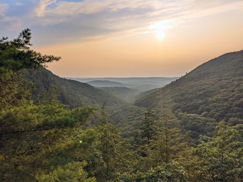 Planning Your Visit: Hours, Parking, and Best Times