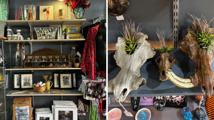 This Michigan gift shop is filled with curiosities you won&rsquo;t find anywhere else