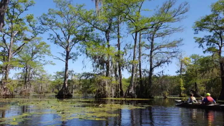 This North Carolina State Park Has a Landscape That Feels Almost Unreal