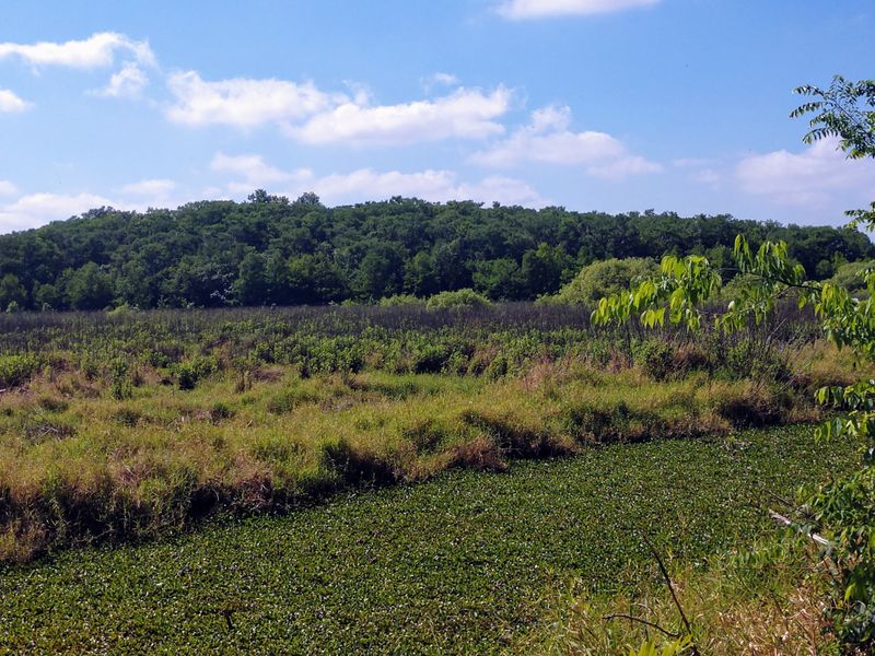 Location and Overview of Black Bear Wilderness Area