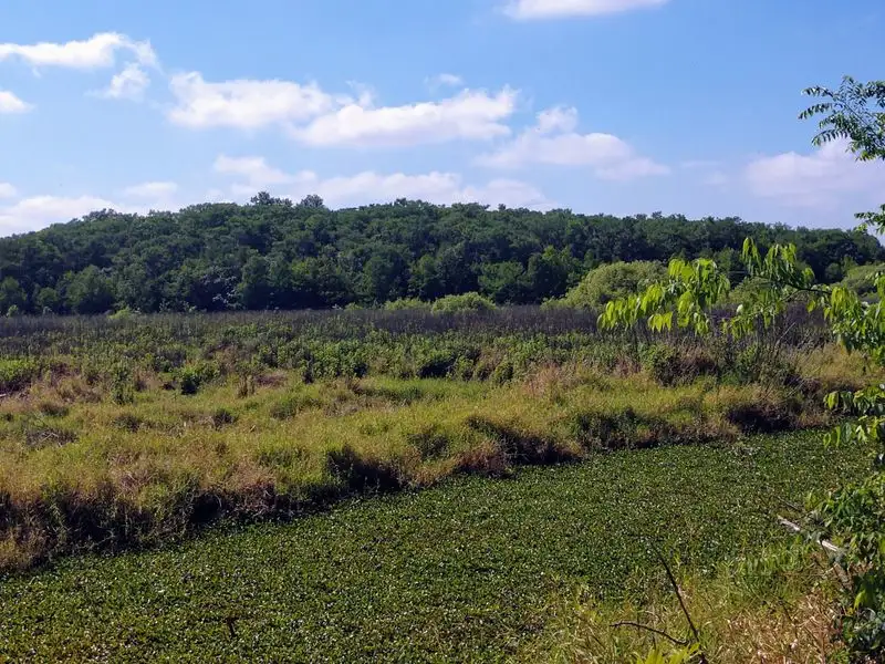 Location and Overview of Black Bear Wilderness Area