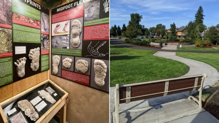 This Oregon Town Is Called Boring, But It Has a Bigfoot Museum and a Sister City Named Dull