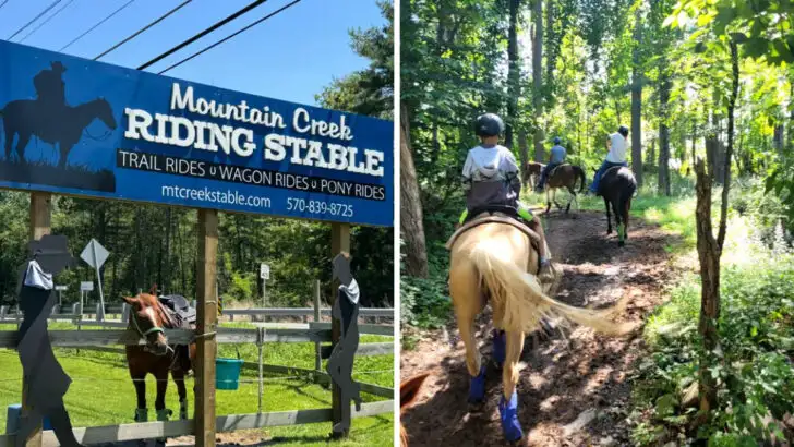 This Pennsylvania horseback ride offers some of the most scenic views in the state