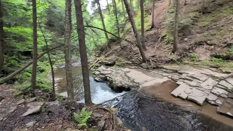 A quiet corner near Montrose
