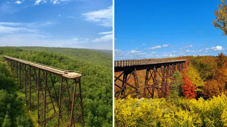 This Skywalk in Pennsylvania Offers a Walk Above a Forest Canyon