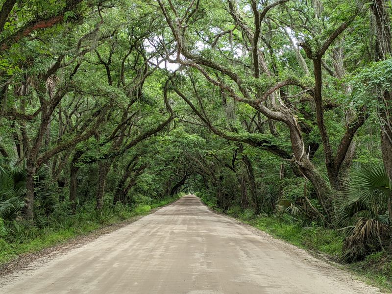 Botany Bay Plantation Heritage Preserve