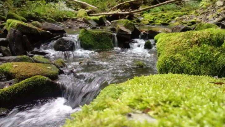 This Underrated State Park in Pennsylvania Stays So Quiet It Feels Almost Private