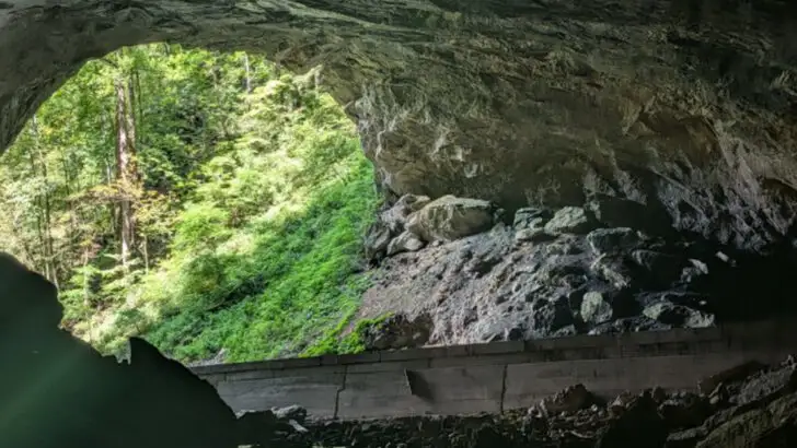 This Underrated State Park in Virginia Rewards Visitors with Peaceful Trails and Views