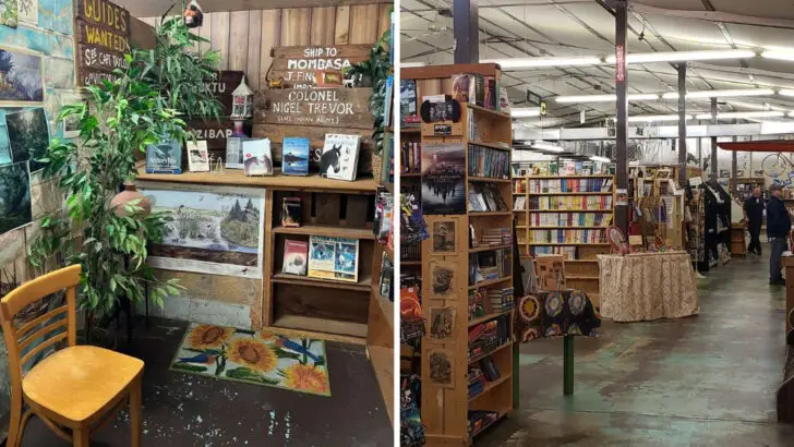 This Used Book Warehouse in Illinois Is a Treasure Hunt for Serious Readers