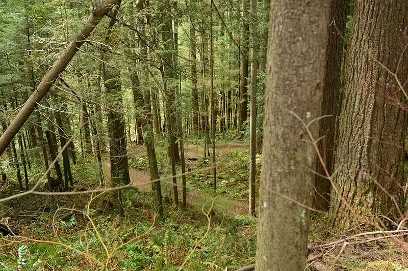 A short hike with outsized rewards