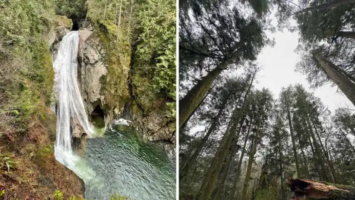 This Washington hike rewards you with some of the state’s most memorable scenery