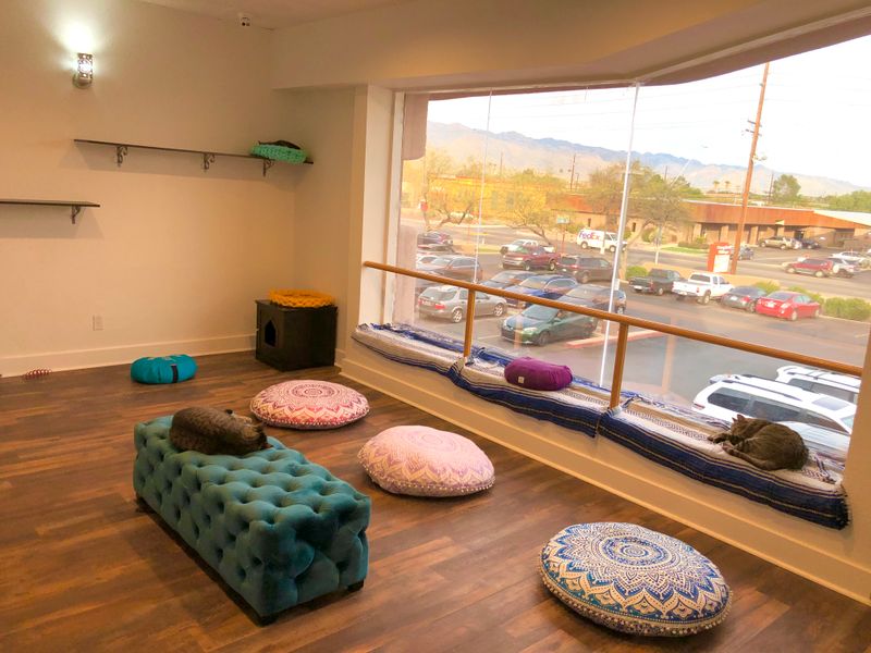 First impressions and vibe