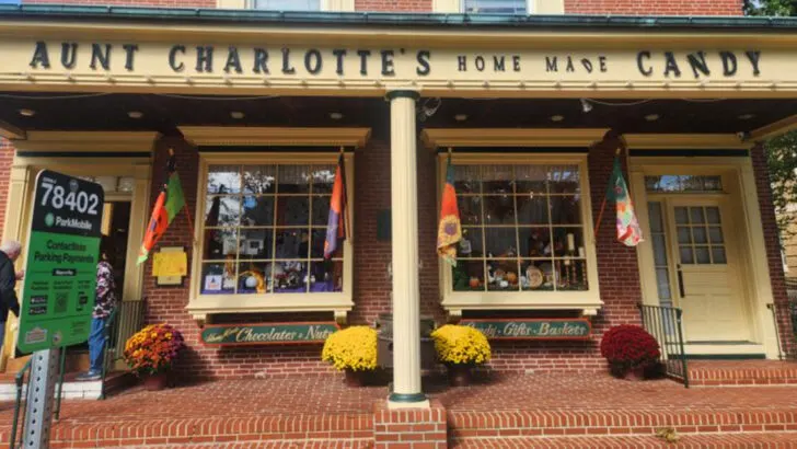 This charming New Jersey candy shop still captures the joy of childhood treats