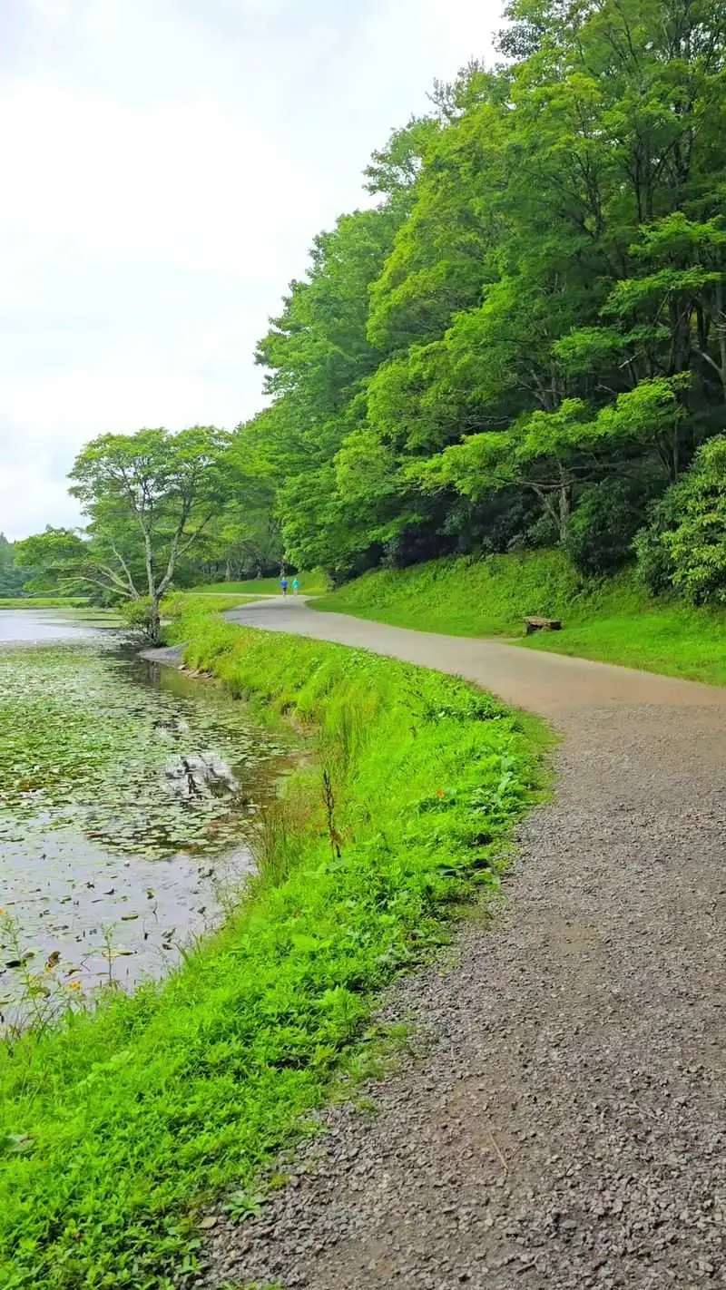 Trail at a glance: distance, difficulty, and directions