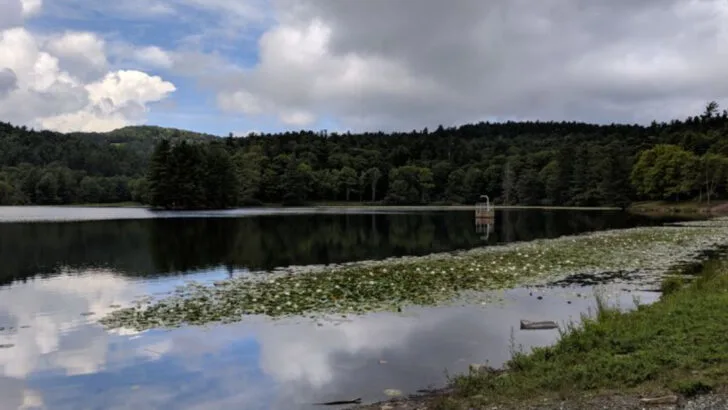 This easy 1-mile hike in North Carolina packs an impressive amount of scenery