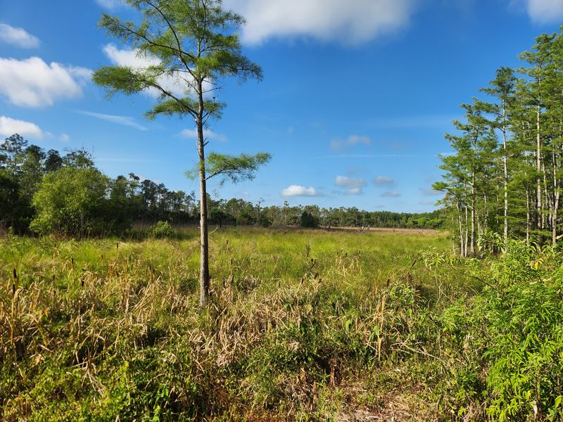 Boardwalk Overview and Route Essentials