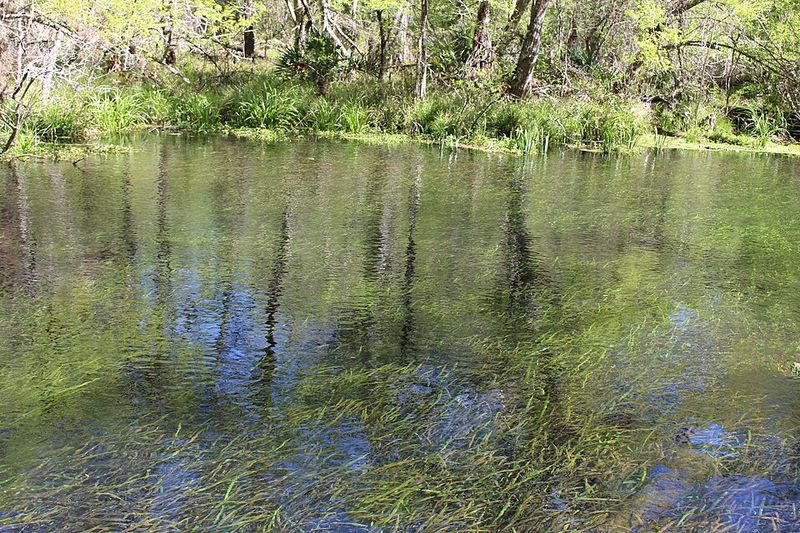 The Crystal Clear Waters